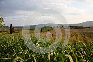 Tuscan Landscape