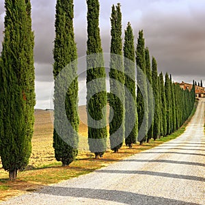 Tuscan landscape