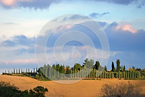 Tuscan landscape