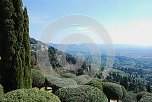 Tuscan Landscape 4