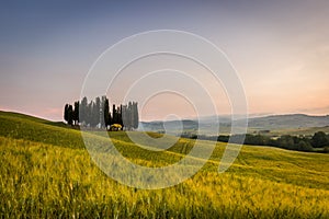 The Tuscan Landscape