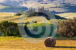 The Tuscan Landscape