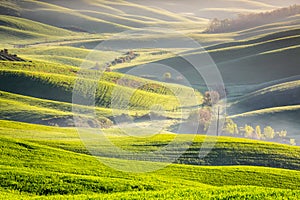 Tuscan landscape