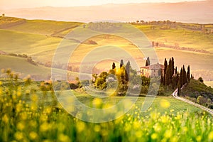 The Tuscan Landscape