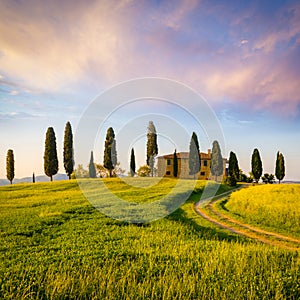 The Tuscan Landscape