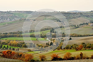 Tuscan landscape and country road with cypress trees, Tuscany, Italy