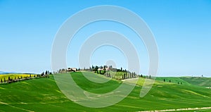 Tuscan landscape with cypress trees,Tuscany, Italy