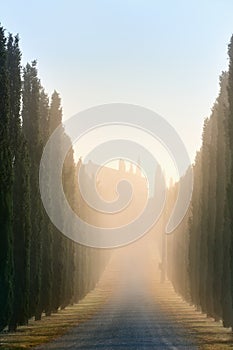 Tuscan landscape early morning