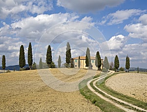 Tuscan Landscape, farm and cypress