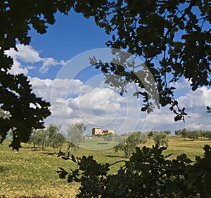 Tuscan Landscape, isolated farm