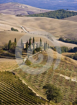 Tuscan Landscape, isolated farm with cypress