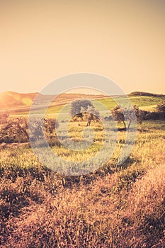 Tuscan landscape in the morning