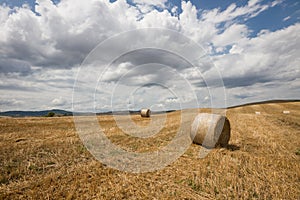 Tuscan landscape in Val d'Orcia (Siena, Italy)