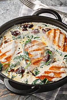 Tuscan pan seared salmon in a delicious creamy sauce with spinach, sun dried tomatoes and parmesan closeup in the pan. Vertical