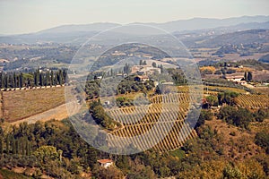 Tuscan panoramic banner landscape with vineyards, houses in Tuscany, Italy, Europe