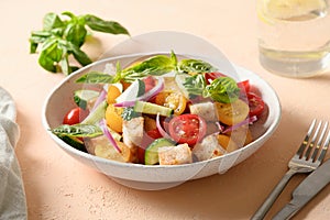 Tuscan Panzanella with tomatoes and bread, Italian cuisine.
