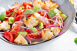 Tuscan Panzanella, traditional Italian salad with tomatoes and bread.