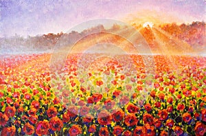 Tuscan poppy field at sunrise flat color hand painted illustration painting.