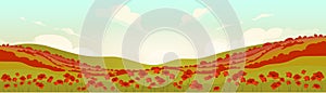 Tuscan poppy field at sunrise flat color vector illustration