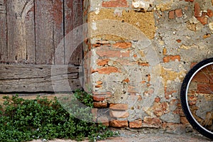 Tuscan scene with brick, wood door, plant and bicycle