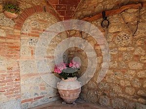 Tuscan terracotta flower pot