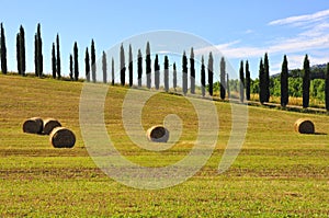 Tuscan traditional fields , Italy photo