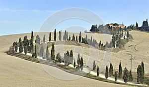 Tuscan villa and cypress trees