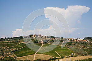 Tuscan village and vineyard