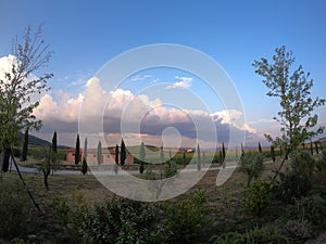 Tuscan winefarm in Tuscany Italy photo