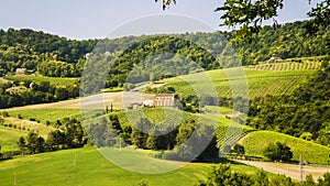 A tuscanian landscape. Italy