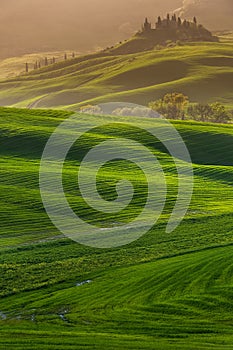 Tuscanian landscape at sunset, with a farmfield in the foreground and a country house in the background