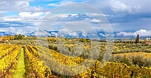 Tuscany Autumn Countryside Landscape in San Casciano in Val di Pesa