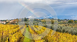 Tuscany Autumn Countryside Landscape in San Casciano in Val di Pesa