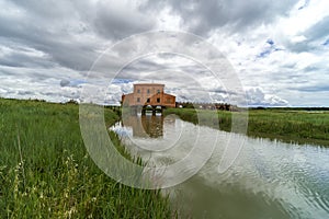 Italy, Tuscany, Castiglione della Pescaia, view of the Diaccia Botrona nature reserve hdr photo