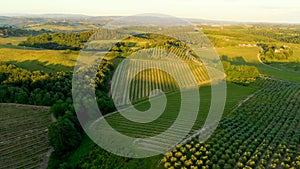 Tuscany countryside aerial landscape with fields, vineyards and roads at sunset