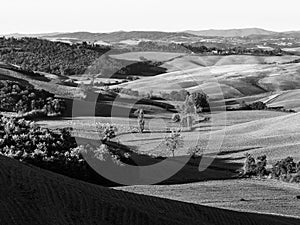 Tuscany countryside panorama in the morning, black and white