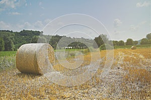 Tuscany countryside round bales of hay in a hot sunny day