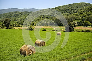 Tuscany countryside summer season day