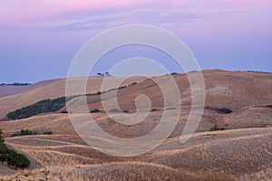 Tuscany, Crete Senesi rural sunset landscape. Countryside farm, cypresses trees, green field, sun light and cloud. Italy