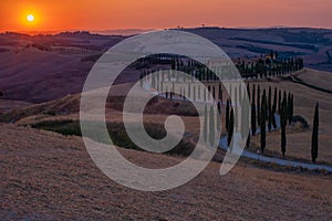 Tuscany, Crete Senesi rural sunset landscape. Countryside farm, cypresses trees, green field, sun light and cloud. Italy