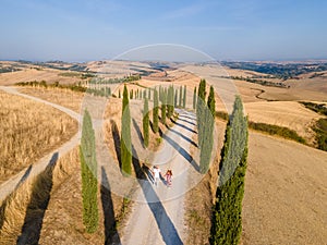 Tuscany, Crete Senesi rural sunset landscape. Countryside farm, cypresses trees, green field, sun light and cloud. Italy