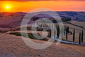 Tuscany, Crete Senesi rural sunset landscape. Countryside farm, cypresses trees, green field, sun light and cloud. Italy