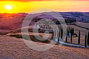 Tuscany, Crete Senesi rural sunset landscape. Countryside farm, cypresses trees, green field, sun light and cloud. Italy