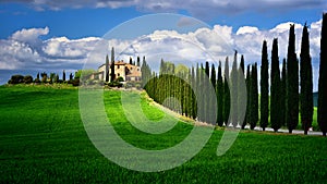 Tuscany famous cypress trees with farmer house on a sunny day and white clouds