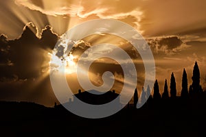 Tuscany famous cypress trees with farmer house on sunset with ray light