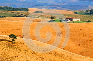 Tuscany farm