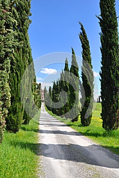 Tuscany Farmhouse countryside photo