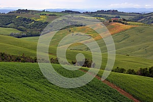 Tuscany farmland hill fields in Italy