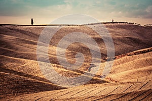 Tuscany fields autumn landscape, panorama, Italy. Harvest season