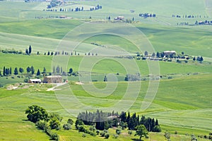 Tuscany - green typical landscape